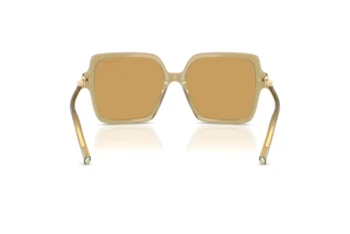 Vista posterior Tiffany TF4260U (846173)