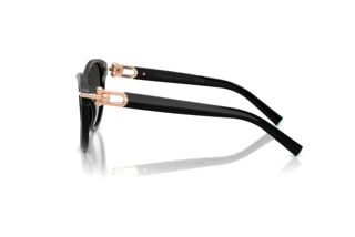 [glasses-side-view] Tiffany TF4261 (80013C)