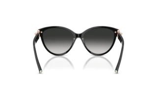 [glasses-back-view] Tiffany TF4261 (80013C)