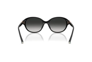 [glasses-back-view] Tiffany TF4263D (80013C)