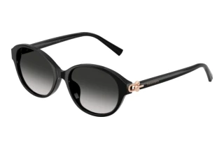 [glasses-front-view] Tiffany TF4263D (80013C)