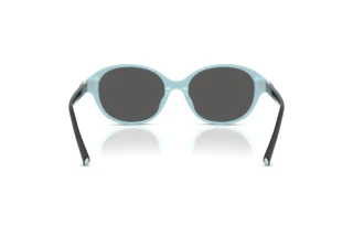 [glasses-back-view] Tiffany TF4263D (8055S4)