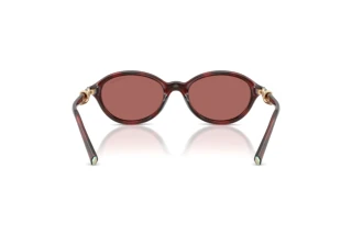 [glasses-back-view] Tiffany TF4266U (847269)