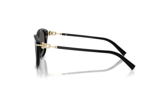 [glasses-side-view] Tiffany TF4267 (8001S4)