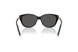 [glasses-back-view] Tiffany TF4267 (8001S4)