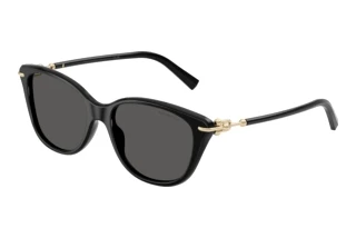 [glasses-front-view] Tiffany TF4267 (8001S4)
