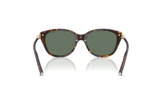 [glasses-back-view] Tiffany TF4267 (80153H)