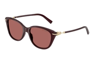 Edestä katsottuna Tiffany TF4267 (847069)