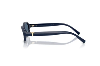 Sivukuva Tiffany TF4270U (839680)