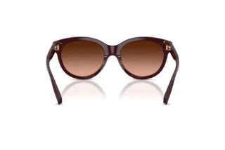 [glasses-back-view] Tiffany TF4271 (84705M)