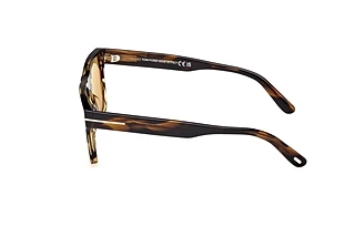 Sidovy Tom Ford CALDER (FT1205 - 56E)