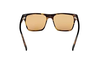 Vy bakifrån Tom Ford CALDER (FT1205 - 56E)