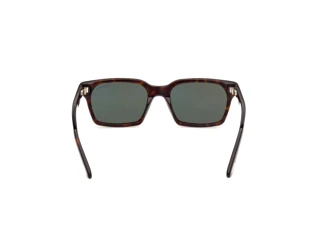 [glasses-back-view] Tom Ford HAYDEN-02 (FT1403 - 52N)