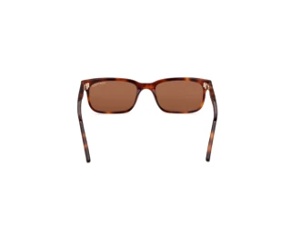[glasses-back-view] Tom Ford SCOUT-02 (FT1480 - 53E)