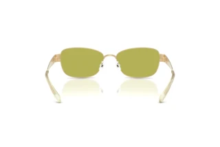 [glasses-back-view] Tory Burch TY6119 (3346/2)