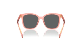 [glasses-back-view] Tory Burch TY7203U (199087)