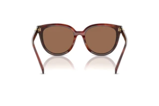 [glasses-back-view] Tory Burch TY7213D (201173)
