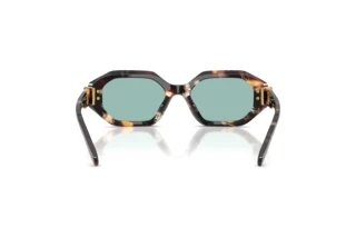 [glasses-back-view] Tory Burch TY7234U (207282)