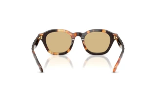 [glasses-back-view] Tory Burch TY7235D (20660R)