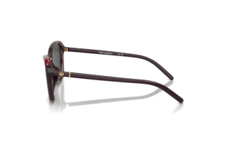 [glasses-side-view] Tory Burch TY9074U (194887)