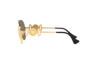 [glasses-side-view] Versace VE2249 (10027P)