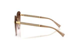 Vedere laterală Versace VE2292B (100213)