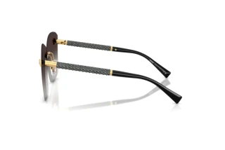 Vedere laterală Versace VE2292B (10028G)