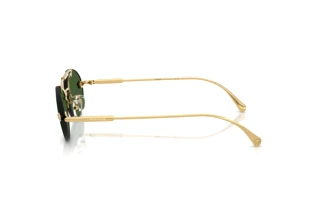 [glasses-side-view] Versace VE2295 (100271)