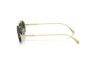 [glasses-side-view] Versace VE2295 (100287)