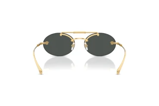 [glasses-back-view] Versace VE2295 (100287)