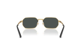 [glasses-back-view] Versace VE2297 (100287)