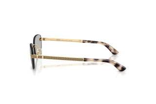 [glasses-side-view] Versace VE2307 (15238V)