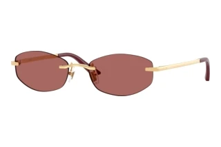[glasses-front-view] Versace VE2308D (152369)