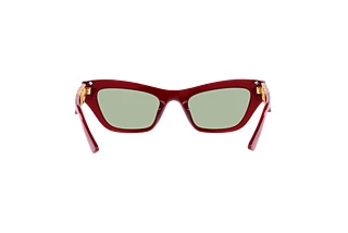 [glasses-back-view] Versace VE4419 (388/2)