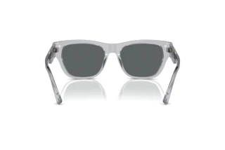 Vy bakifrån Versace VE4457 (543287)