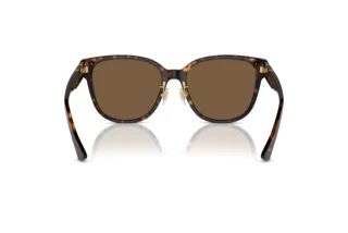 Πίσω όψη Versace VE4460D (108/73)