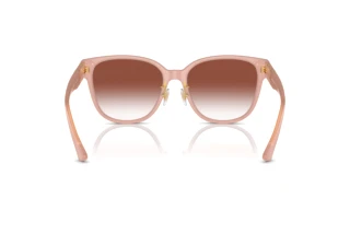 Vy bakifrån Versace VE4460D (5394V0)