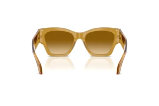 Takaa Versace VE4492U (53472L)