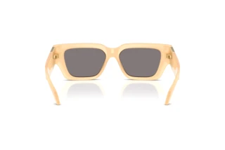 Изглед отзад Versace VE4497U (554473)