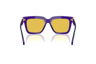 [glasses-back-view] Versace VE4498 (554585)