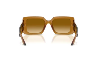 [glasses-back-view] Versace VE4505U (53422L)