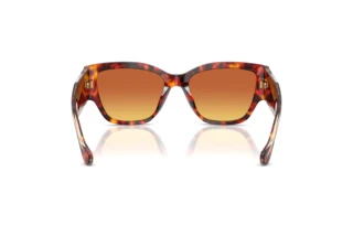 [glasses-back-view] Versace VE4509U (5543T5)
