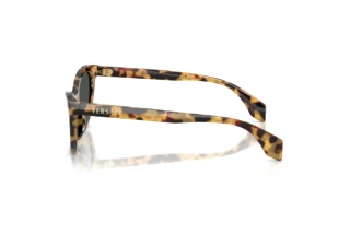 [glasses-side-view] Versace VE4522U (777/87)