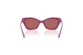 [glasses-back-view] Vogue Eyewear VJ2020 (321169)