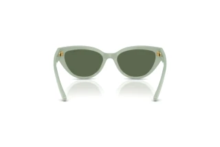 Πίσω όψη Vogue Eyewear VJ2026 (318371)