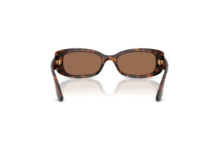 Vy bakifrån Vogue Eyewear VJ2031 (271873)