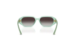 [glasses-back-view] Vogue Eyewear VJ2034 (32748G)