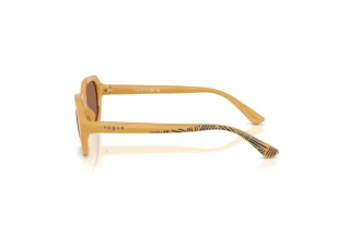 [glasses-side-view] Vogue Eyewear VJ2035 (327373)