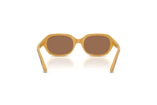 [glasses-back-view] Vogue Eyewear VJ2035 (327373)