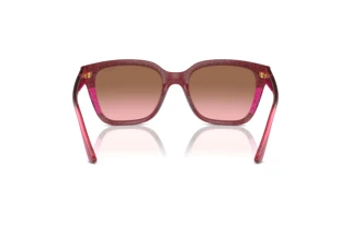 Πίσω όψη Vogue Eyewear VO5558S (313514)